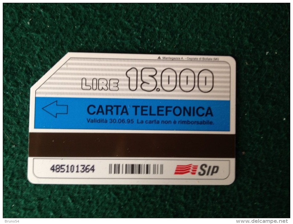 Scheda Telefonica  Catalogo Golden Nr 272 Carte Di Credito Da 15000  SIP - Pubbliche Figurate Ordinarie