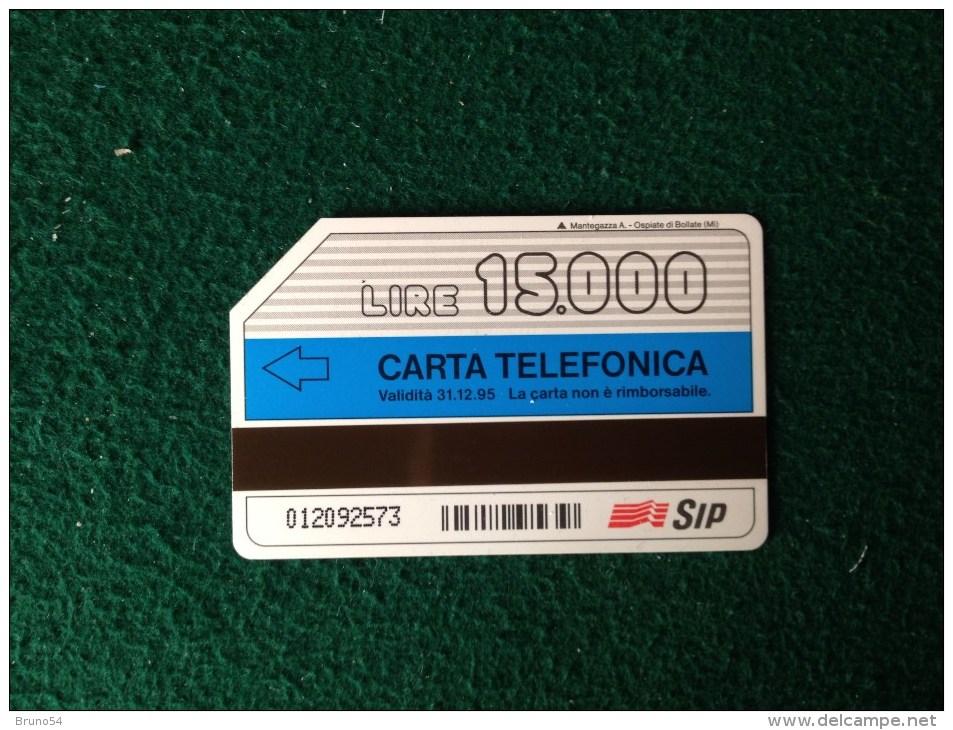 Scheda Telefonica Catalogo Golden 351 Negozi In Sip Da 15000  SIP - Pubbliche Figurate Ordinarie