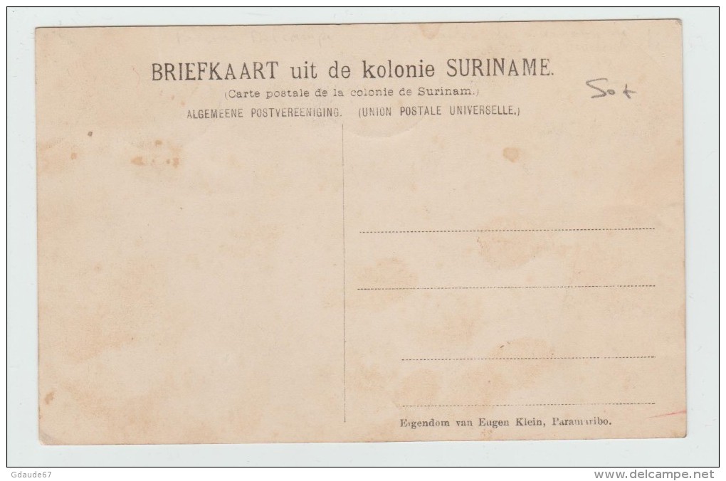 SURINAM - LE GENERAL DES BOSCHNEGERS ET SON ETAT MAJOR - Surinam