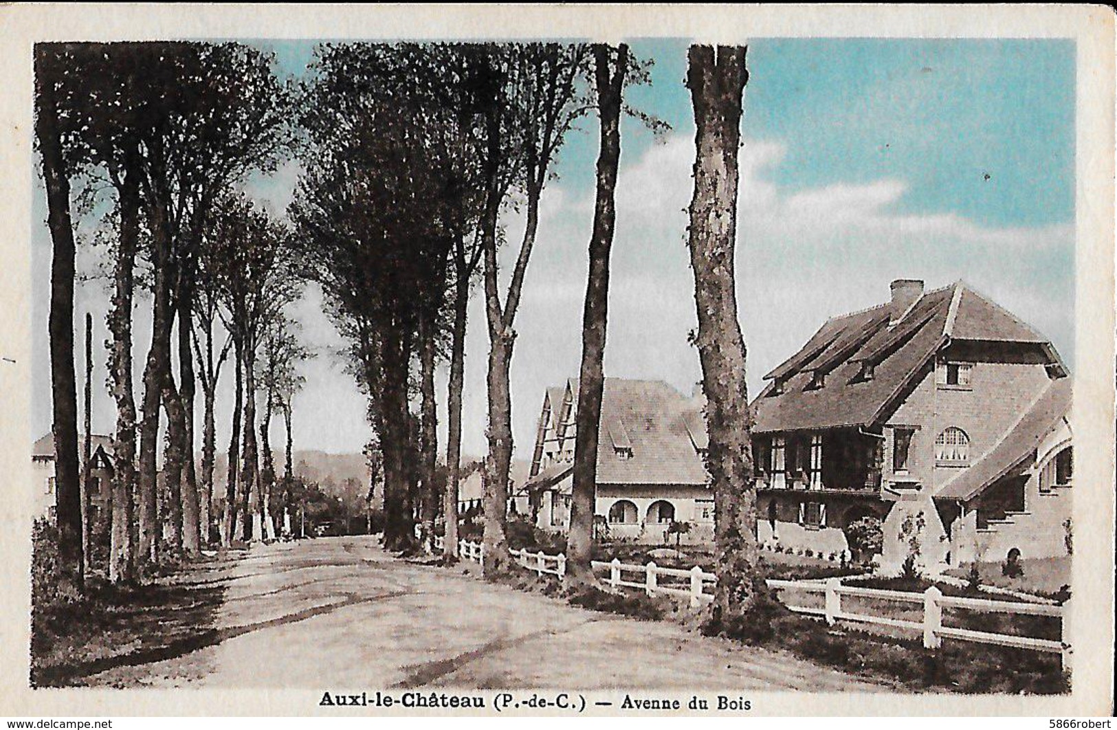 CARTE POSTALE ORIGINALE ANCIENNE COULEUR : AUXI LE CHATEAU  AVENUE DU BOIS PAS DE CALAIS (62) - Auxi Le Chateau