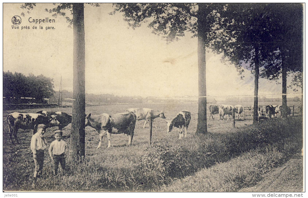 Cappellen Kapellen Vue Près De La Gare - Kapellen