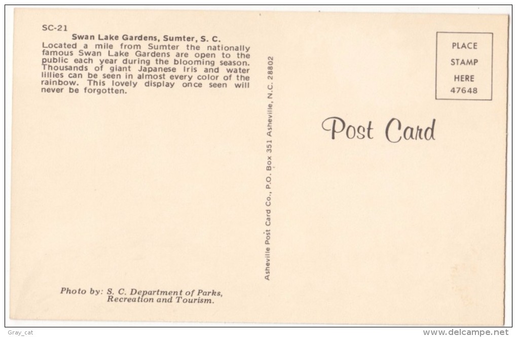 Swan Lake Gardens, Sumter, SC, Unused Postcard [17614] - Sumter