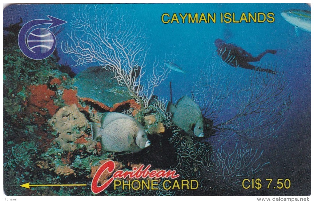 Cayman Islands, CAY-3A, Diver In Reef - Old Logo, No On Grey Strip, 2 Scans.  3CCIA - Iles Cayman