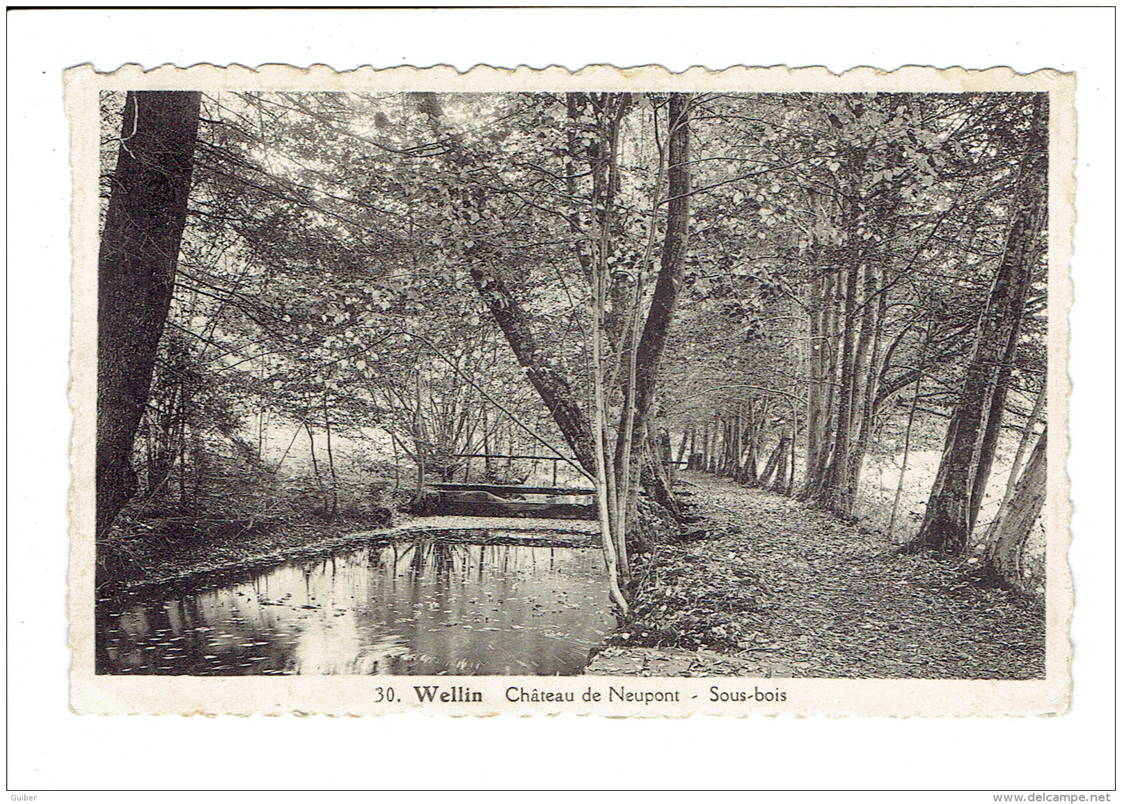 Wellin Chateau De Neupont Sous Bois Petit Pont N° 30 (banneux) - Wellin