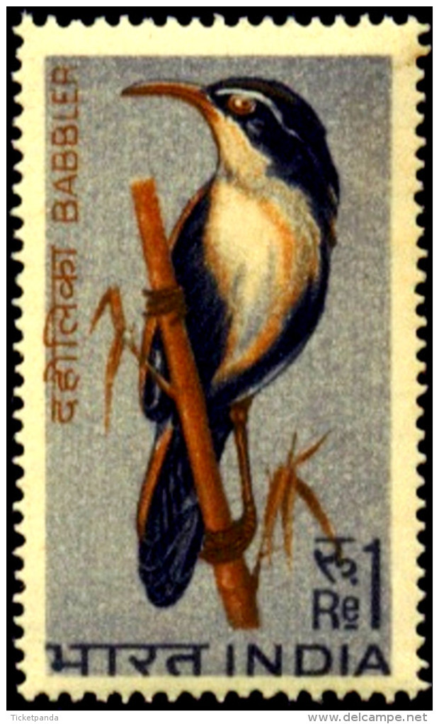 BIRDS-ERROR-BIRDS OF INDIA-FIRST SERIES-SET OF 4-INDIA-1968-MNH-TP-01 - Spechten En Klimvogels