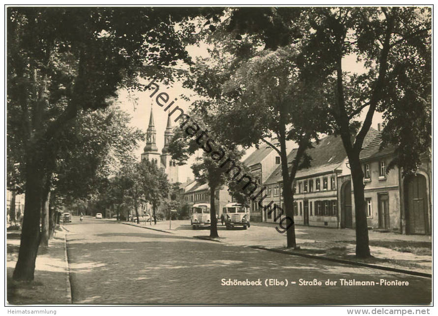 Schönebeck - Strasse Der Thälmann-Pioniere - Bus - Foto-AK Großformat - Verlag Heldge KG Köthen 60er Jahre - Schoenebeck (Elbe)