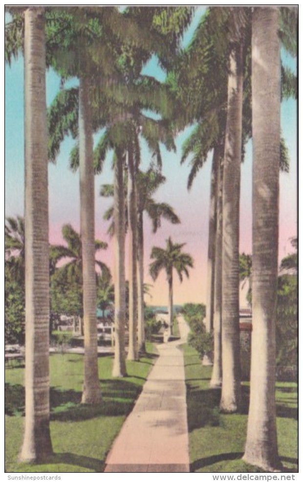 Florida Fort Myers Walk To Pier &amp; Swimming Pool Hotel Royal Palm Handcolored Albertype - Fort Myers