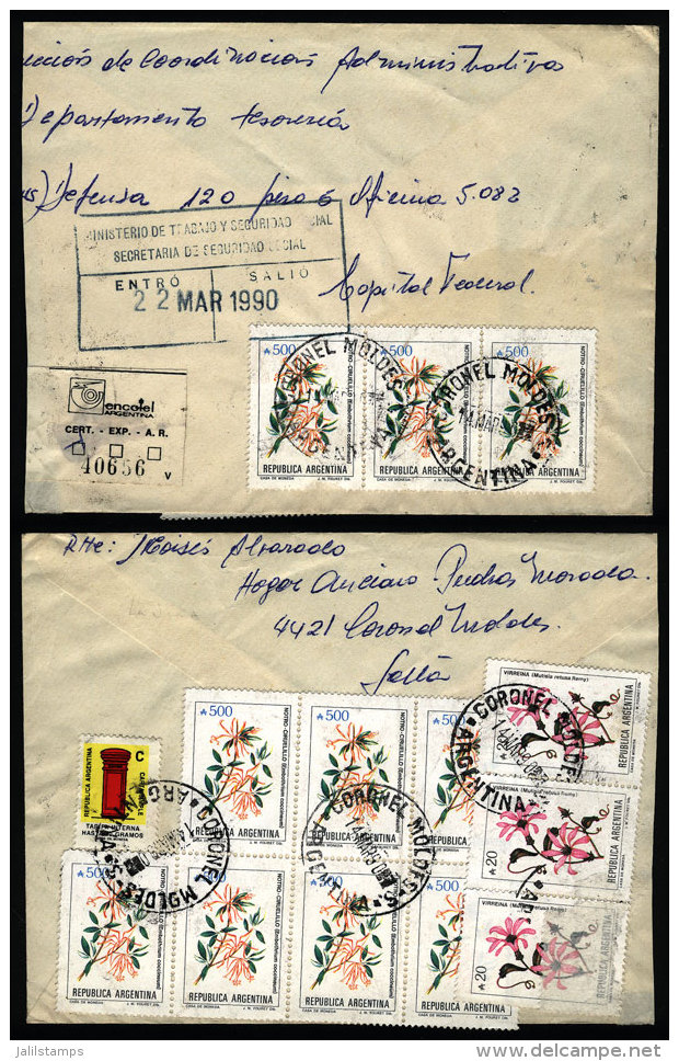 Registered Cover Mailed On 14/MAR/1990 With Postmark Of CORONEL MOLDES (Salta), Franked With INFLA Postage Of... - Lettres & Documents