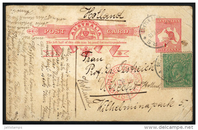 1p. Postal Card (Kangaroo) + &frac12;p., Sent From Bell To Netherlands On 2/SE/1915 With Interesting Censor Mark Of... - Postwaardestukken