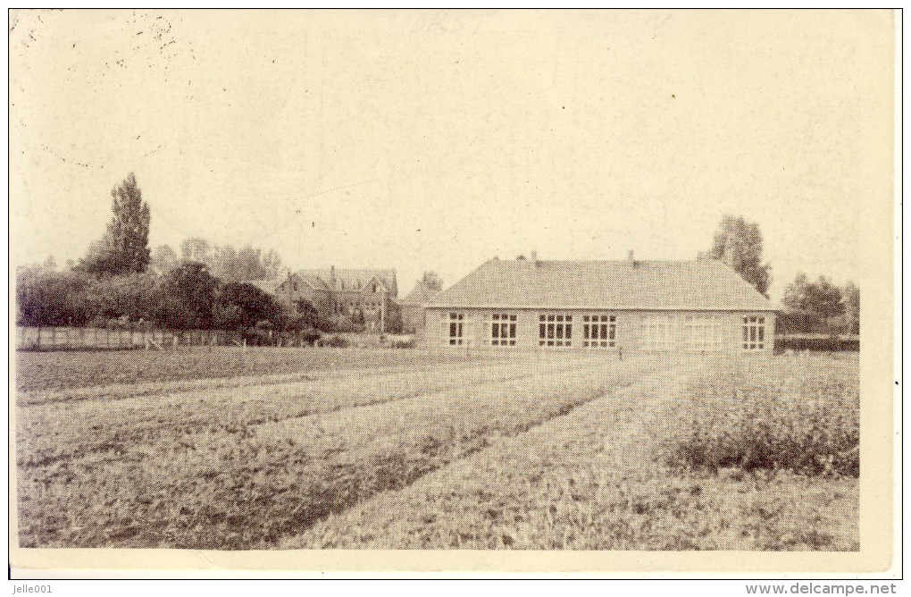 Vorst St Gertrudis Algemeen Zicht Klooster En School 1956 - Laakdal