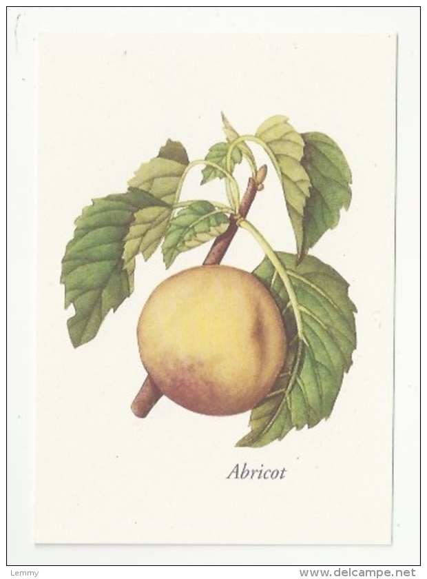 FLEURS - PLANTES - ABRICOT - PRUNUS ARMENIACA - ED. YVES ROCHER - Medicinal Plants