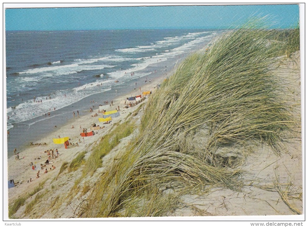 Duin En Zee - Gem. Westerschouwen Burgh-Haamstede-Renesse  - Zeeland- Holland/Nederland - Renesse