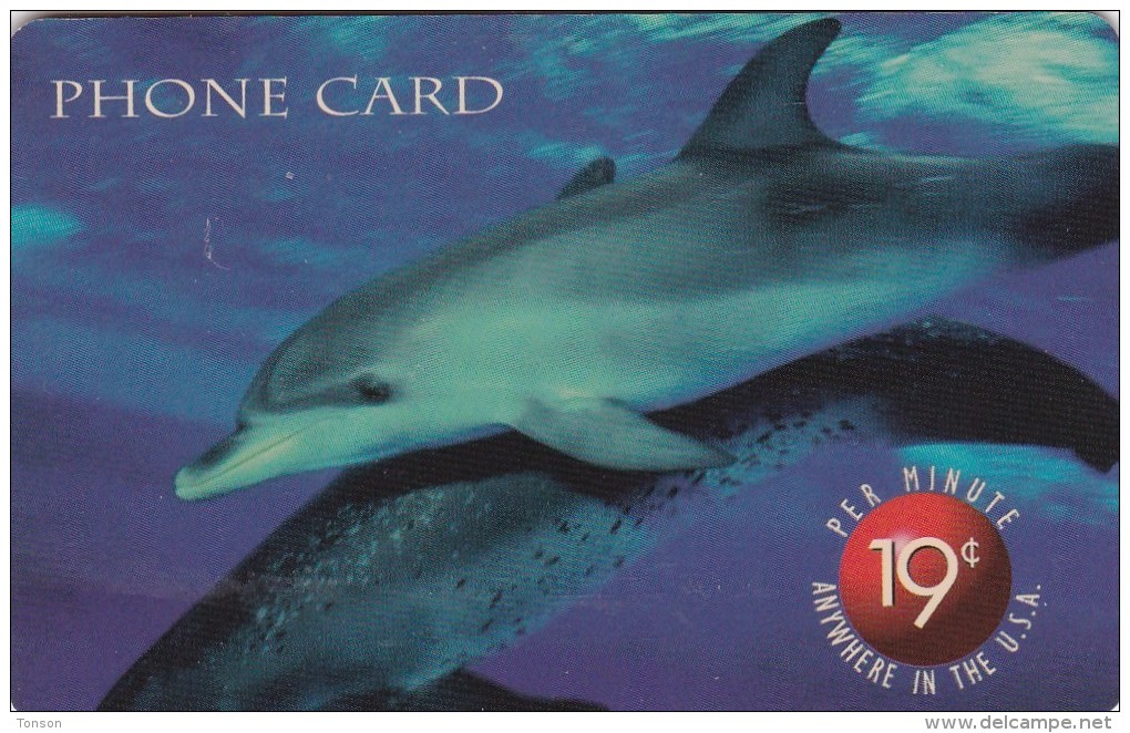 United States, US-NMTele-07, Big Dolphins - 19c. Per Minute Phone Card, 2 Scans. - Cartes Magnétiques