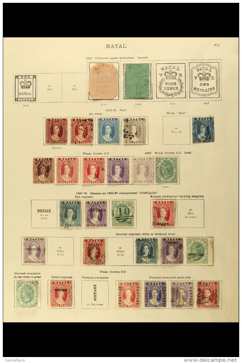 NATAL 1857-1909 USED COLLECTION On Printed Pages. Includes 1857 3d Embossed Unused (complete Design), 6d Green... - Non Classificati