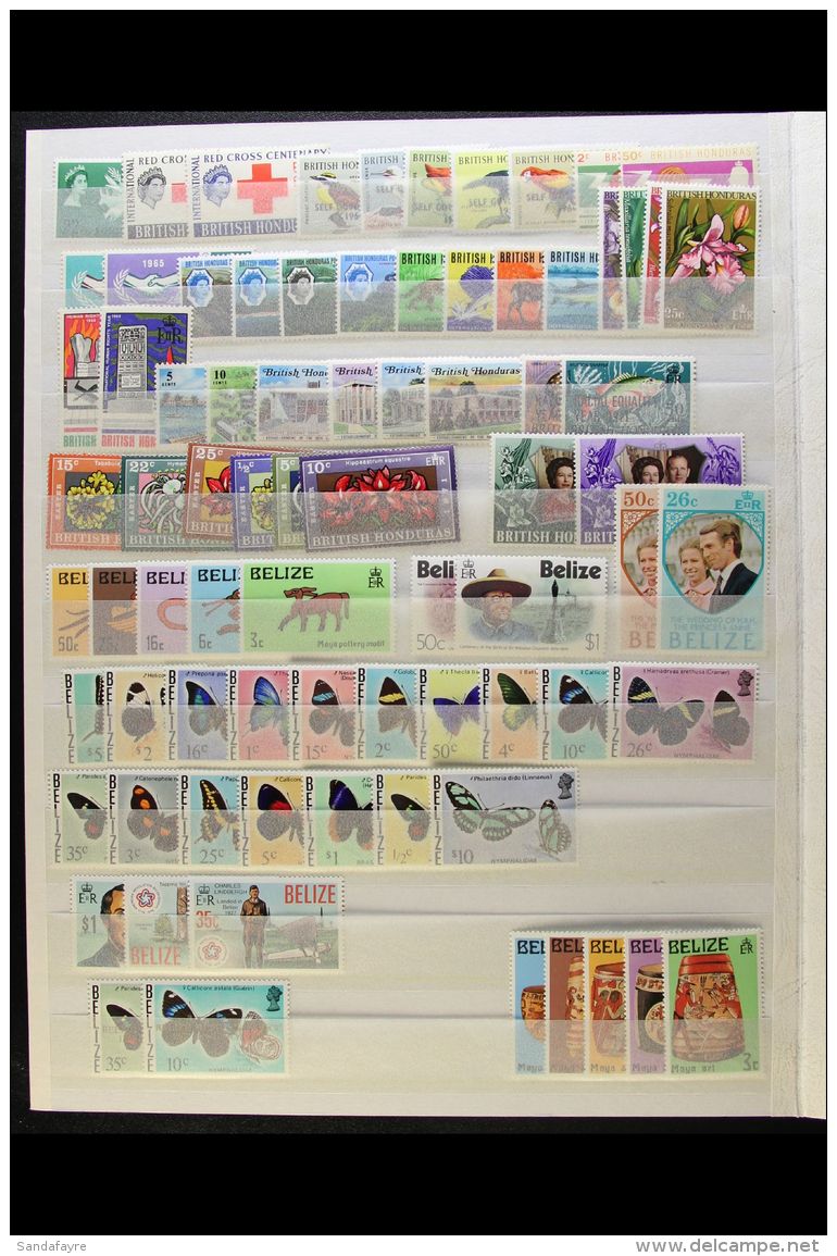 1963-1987 NEVER HINGED MINT COLLECTION On Stock Pages, ALL DIFFERENT Complete Sets, Inc A Few British Honduras... - Belize (1973-...)