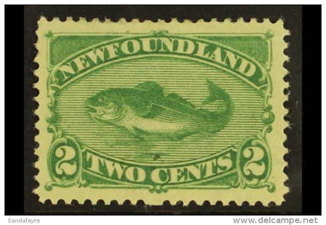 1896 2c Green Codfish, SG 64, Vf Mint. For More Images, Please Visit... - Altri & Non Classificati