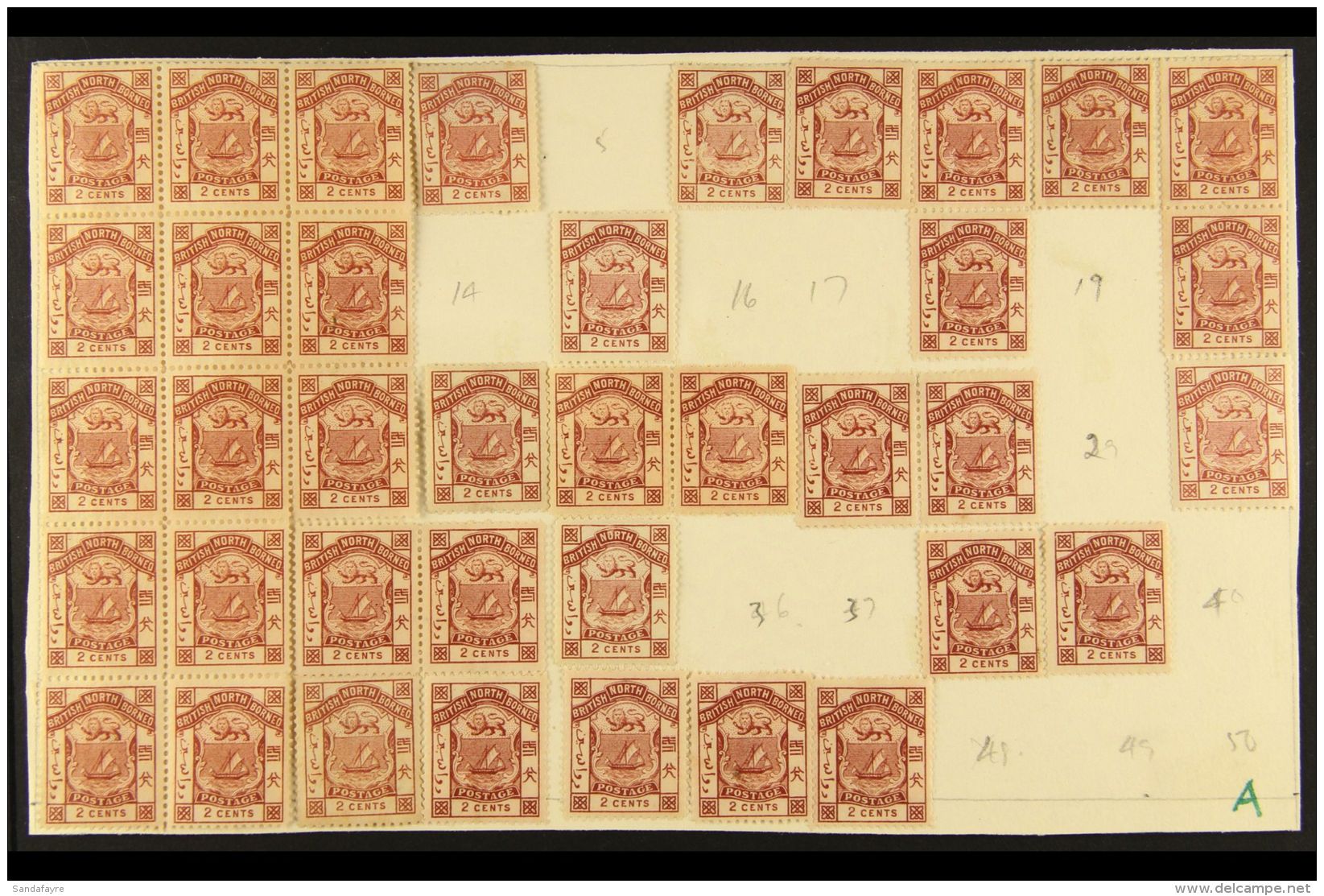 1886-87 2c Brown, SG 25, Transfer A, Partial Sheet Reconstruction (38 Of 50), Fine/very Fine Mint. (38 Stamps) For... - North Borneo (...-1963)