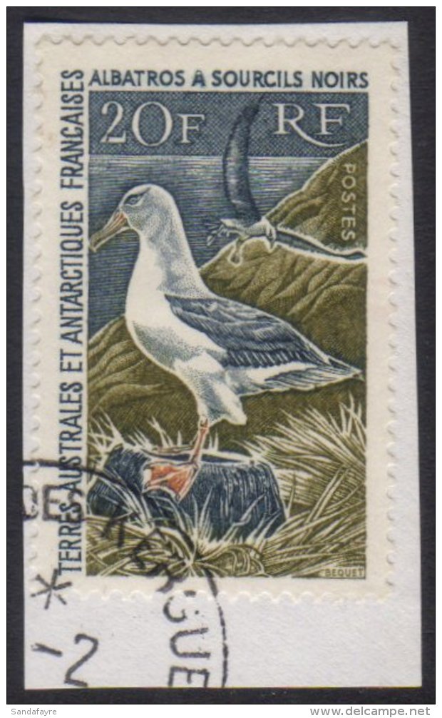 BIRDS FRENCH SOUTHERN &amp; ANTARCTIC TERRITORIES - 1968 20f Black Browed Albatross, Yv 27, Superb Used On Piece... - Non Classés