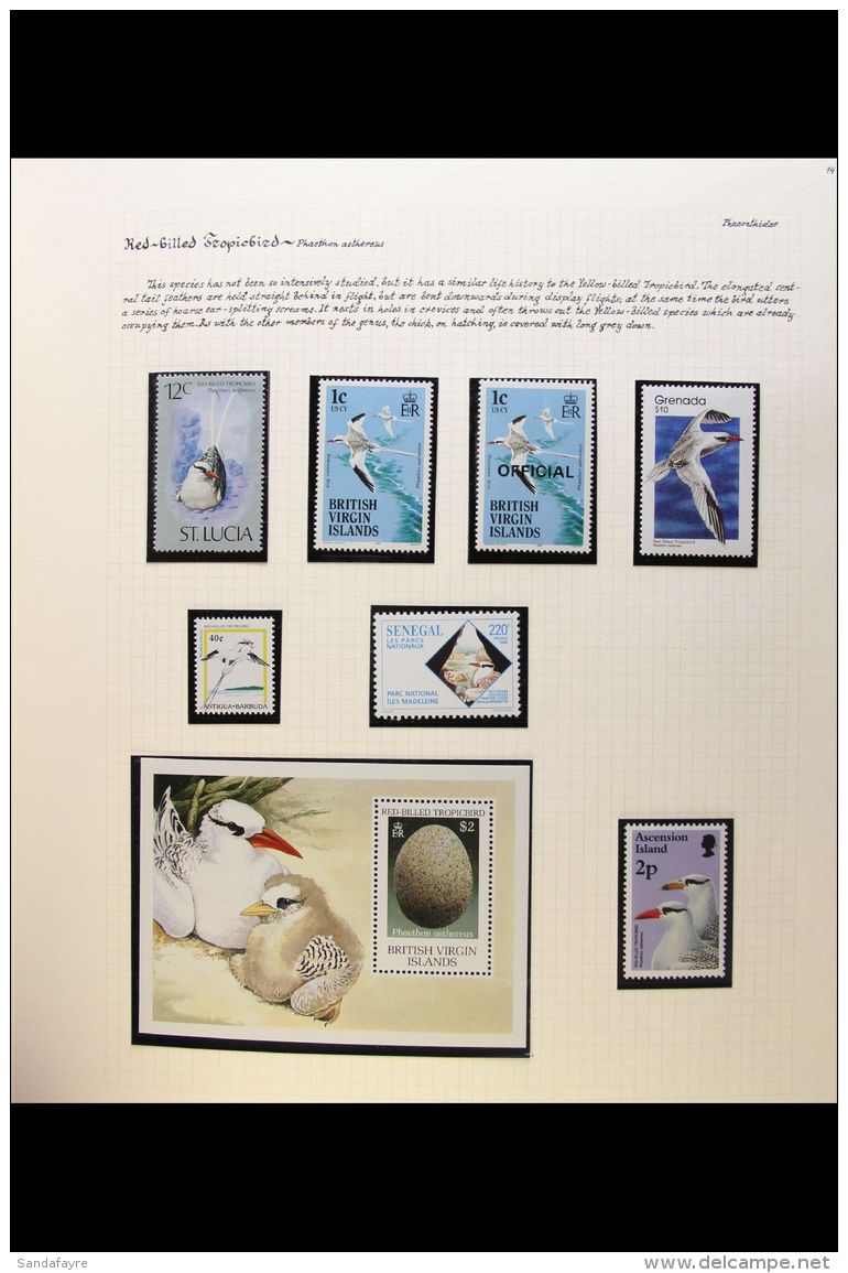 BIRDS A Fabulous Quality, Never Hinged Mint "Countries Of The World" Collection Featuring TROPIC BIRDS, PELICANS,... - Non Classificati