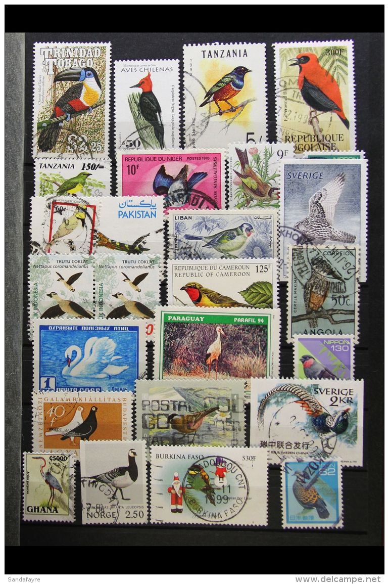 BIRDS 1930's-1990's World Very Fine Used Collection With Light Duplication Housed In Two Small Stockbooks, Very... - Non Classificati
