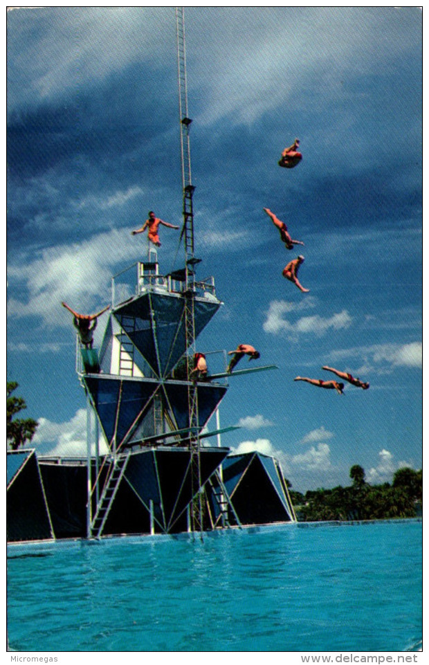 Cypress Gardens - Thrill To The World Champion High-diving Team - Duiken