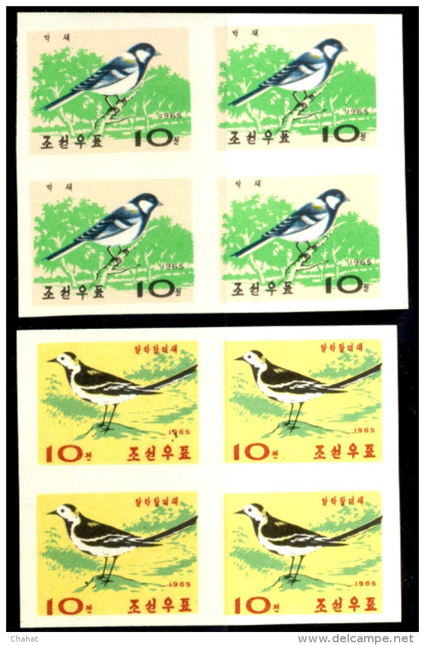 WATER BIRDS-DUCKS-TEALS-GOOSE-IMPERF-BLOCKS OF 4-SET OF 5-NORTH KOREA-1965-MNH-TP447 - Sparrows