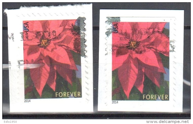 United States 2014 Poinsettia - Mi 5007 II BD  - Used - Usati