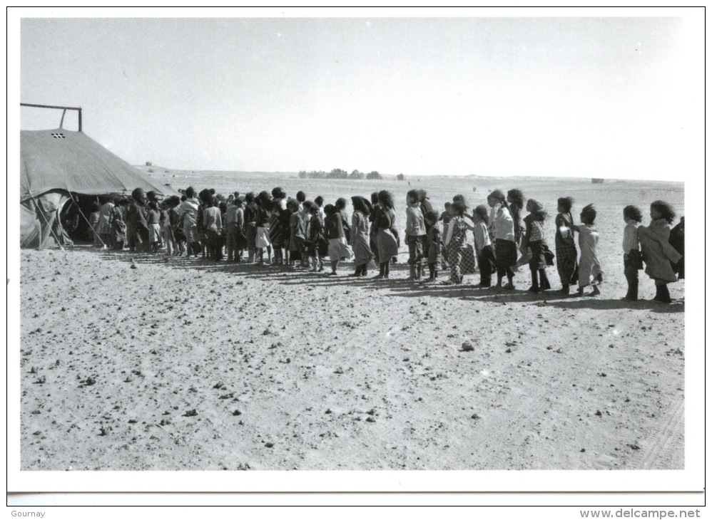 Sahara Occidental : 1774/11- Ecoliers Mai Réfugiés Sahraouis 1976 J´réfia Gonfreville Jumelées Photo Bloncourt - Western Sahara