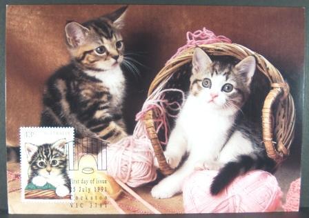 Australia 1991 Pets 43c Kitten Maxicard First Day Of Issue - Lettres & Documents