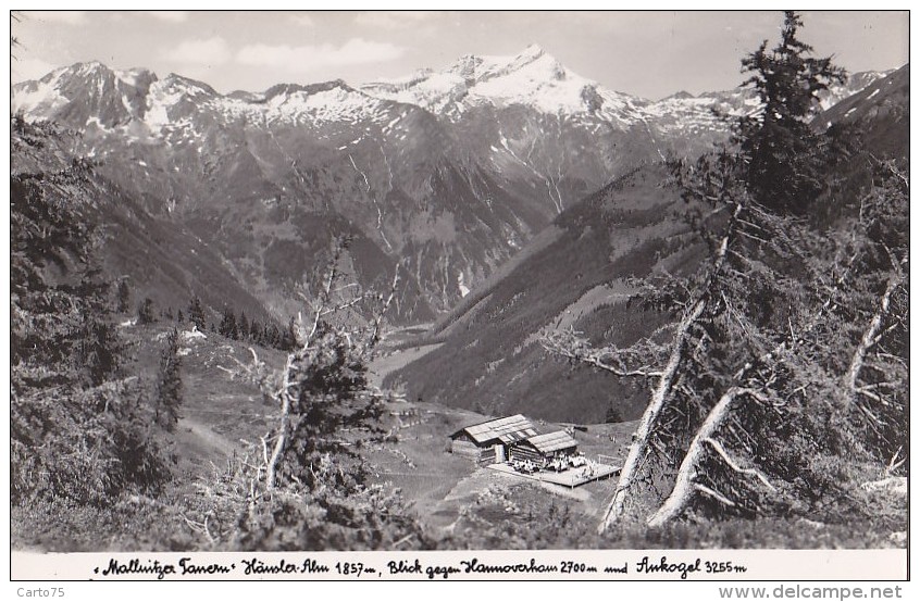 Autriche - Ankogel - Mallintzer Tauern -Hänsler-Alm - Blick Gegen Hannoverhaus - Mallnitz