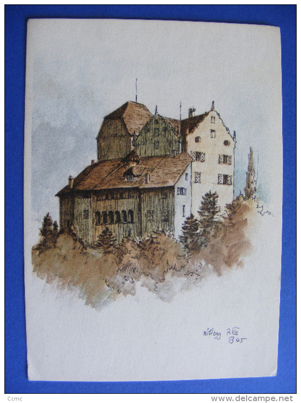 CPA Château De Wildegg - Argovie (Suisse) - Illustration Signée - Pub Saridon Sedulon (médicaments) - Wildegg