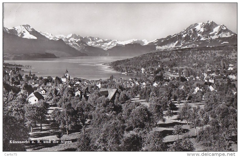 Suisse - Küssnacht Am Rigi - Panorama - Küssnacht