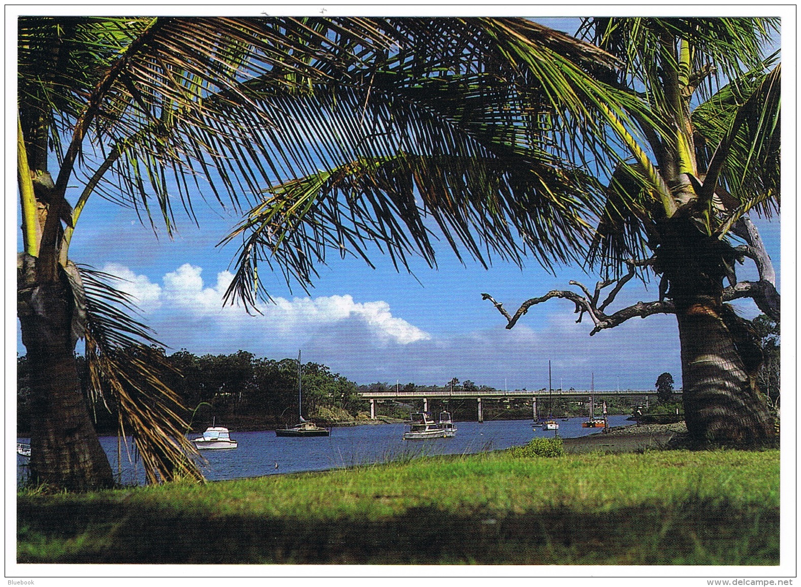 RB 1105 - Australia Postcard - Boyne Boat Harbour - Queensland - Sonstige & Ohne Zuordnung