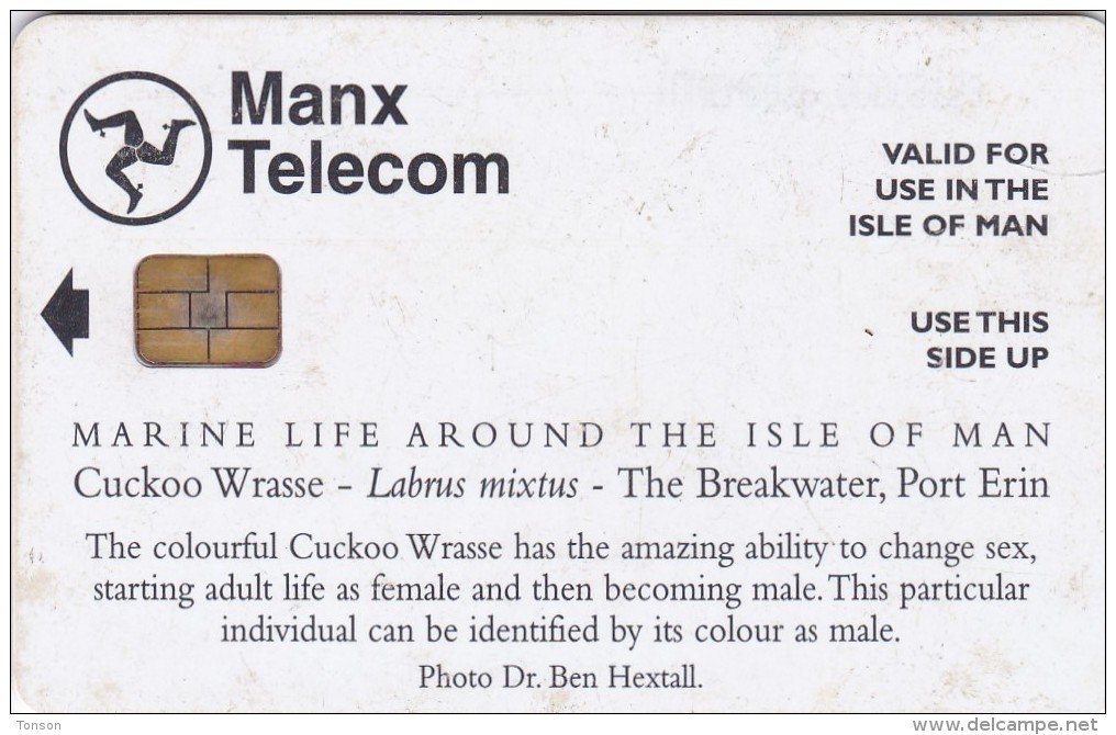 Isle Of Man, MAN 171, £3, Marine Life, Cuckoo Wrasse, Fish, 2 Scans. - Man (Isle Of)
