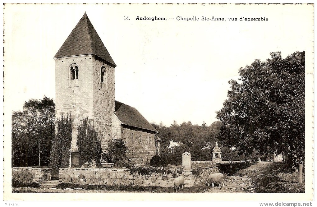 AUDERGHEM--CHAPELLE SAINT ANNE-moutons - Auderghem - Oudergem