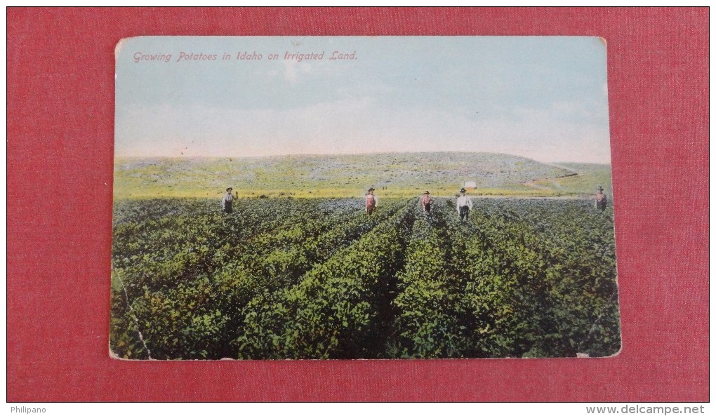 - Idaho> Irrigated Land  Growing Potatoes = Ref  2274 - Autres & Non Classés