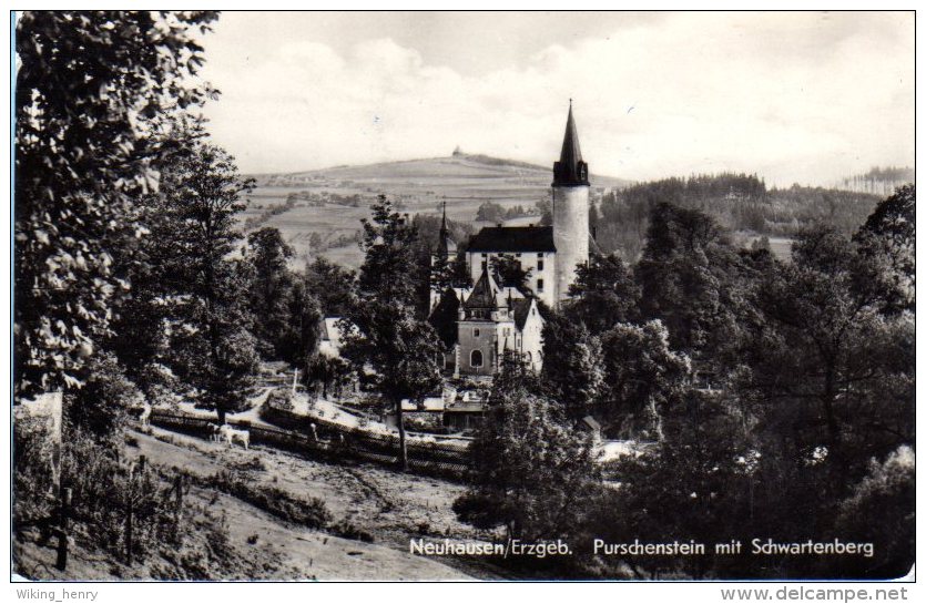 Neuhausen - S/w Purschenstein Mit Schwartenberg - Neuhausen (Erzgeb.)