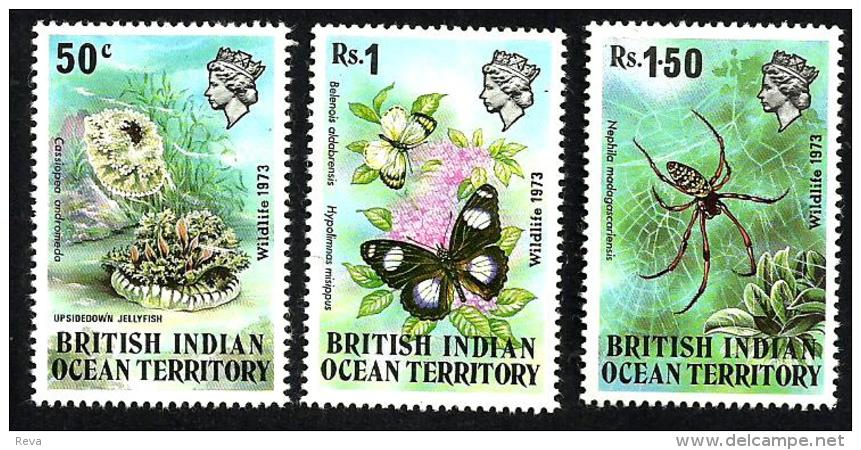 BRITISH INDIAN OCEAN TERRITORY INSECTS  MARINE LIFE QEII HEAD SET OF 3 50 CENTS-1.50R SG53-5 MINT1973 READ DESCRIPTION - Territorio Britannico Dell'Oceano Indiano