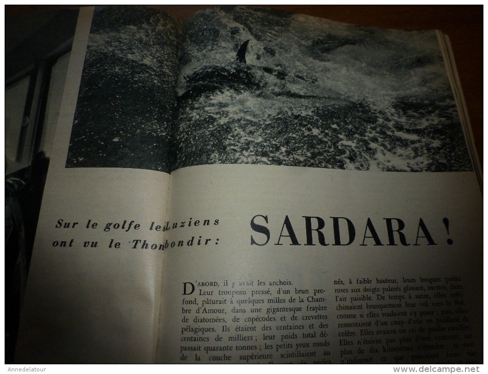 1957 SCIENCE Et VIE N° 482 : Titres Du Contenu ,suivant  SOMMAIRE En 2e Photo : Chine De Formose; Thon Des Luziens..etc - Science