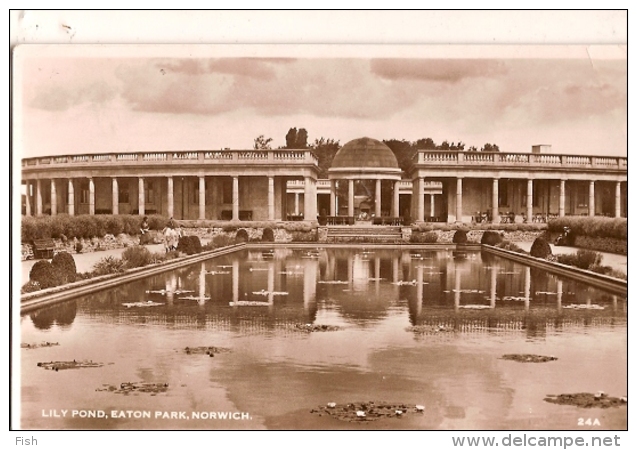 England & Used Post Card, Lily Pond, Eaton Park, Norwich Great Yarmouth, Norfolk, Berlin, Germany 1952 (7) - Norwich