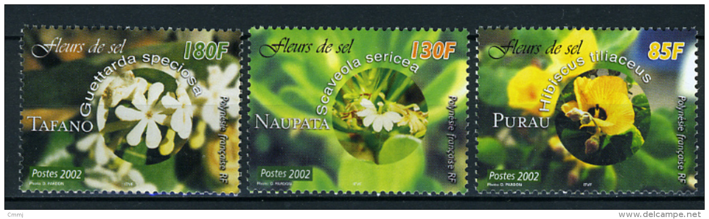 2002 - POLINESIA FRANCESE - FRENCH POLYNESIA - Scott  Nr. 837/838 - NH - ( **) - (K-EA-372270) - Neufs