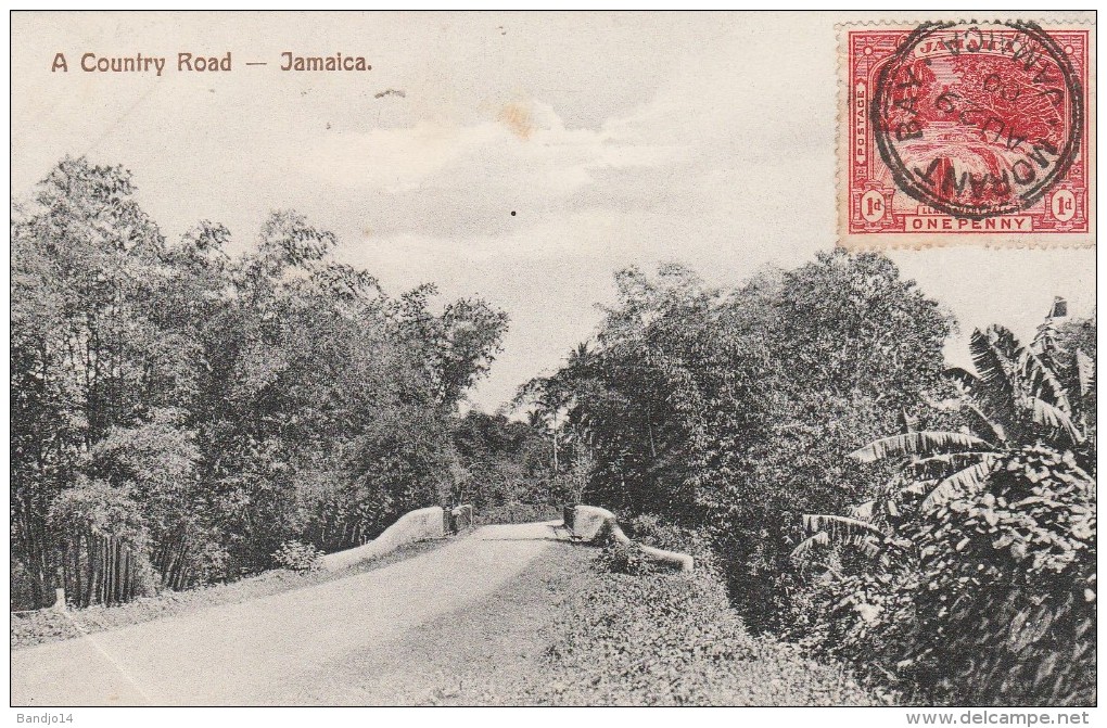 Jamaica  A Country Road - 1909  - Scan Recto-verso - Jamaïque