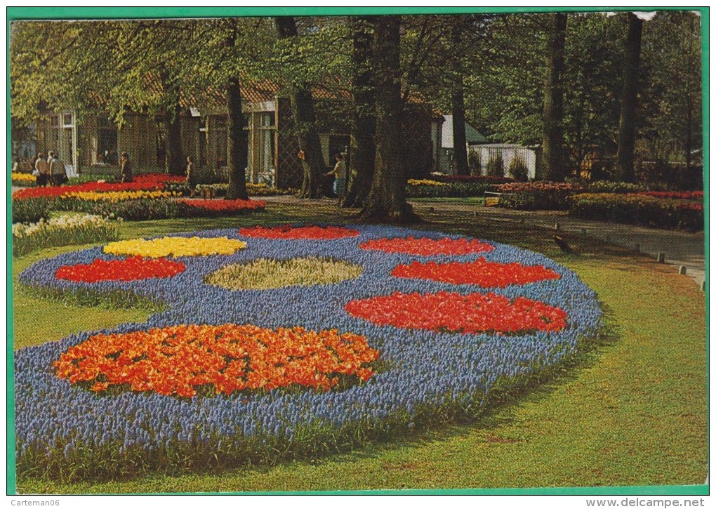 Pays-Bas - Keukenhof - Lisse Holland - Lisse