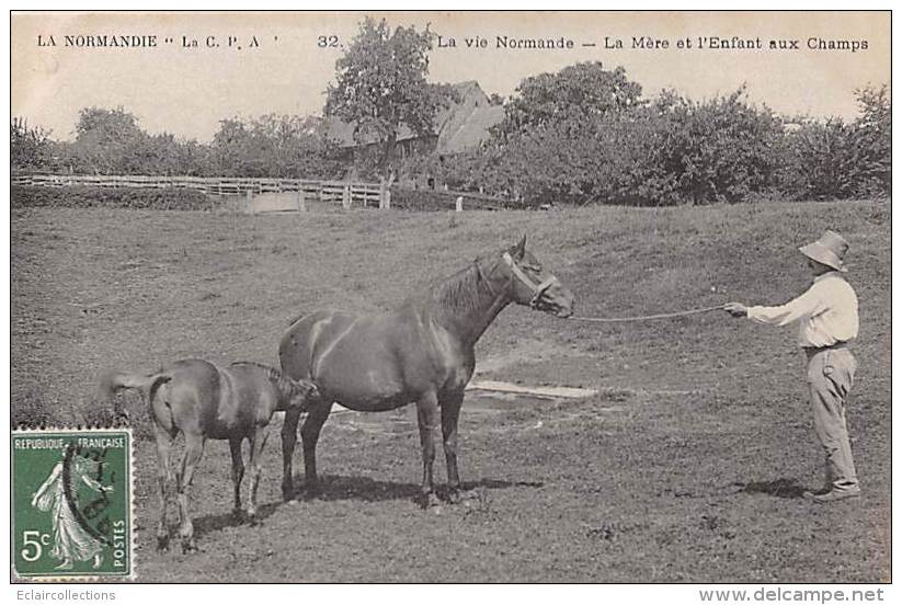 Sport.   Hippisme  La Vie Normande. C.P.A 32  La Mère Et L'enfant - Horse Show