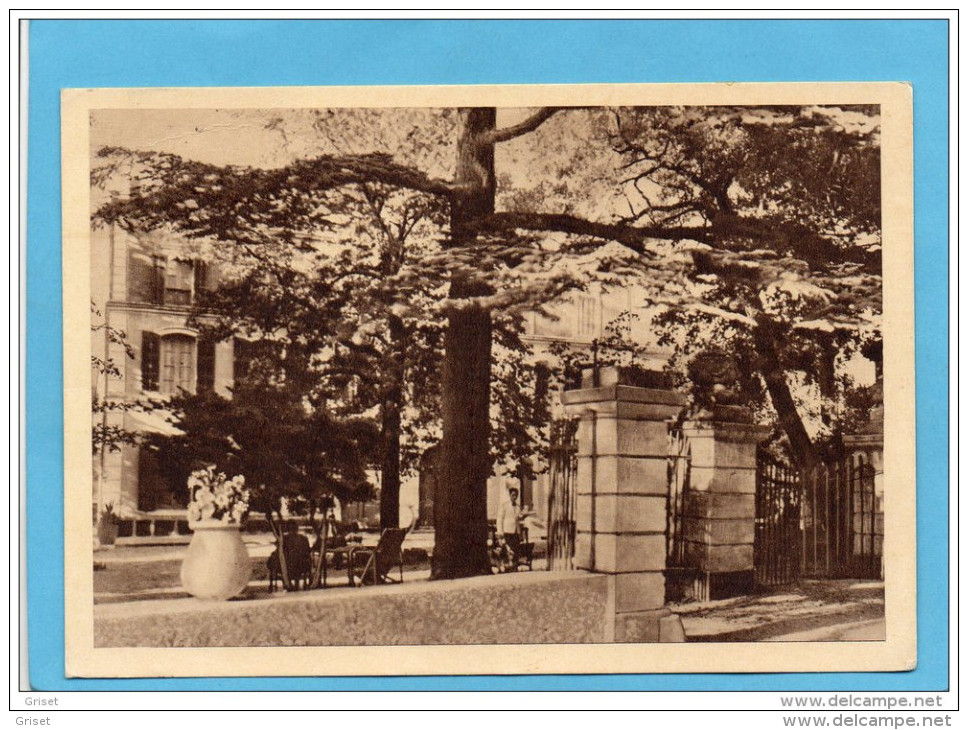 NANS LES PINS-CHATEAUNEUF HOTEL -la Terrasse Animée A Voyagé En 1956+ -édition Le Marigny - Nans-les-Pins