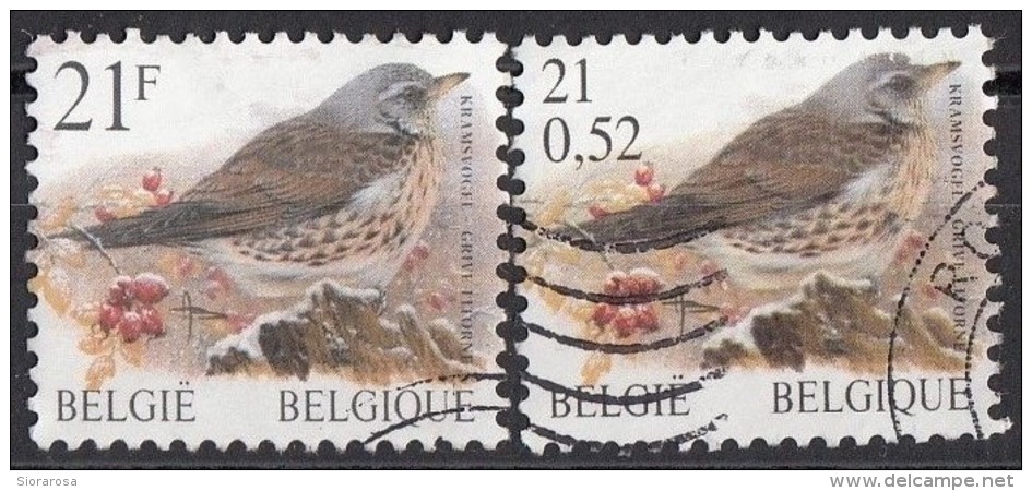 1715 - 2000 Belgio 1998 Birds Uccelli Grive Litorne "La Cesena" Turdus Pilaris Belgique Belgie Belgium - Sparrows