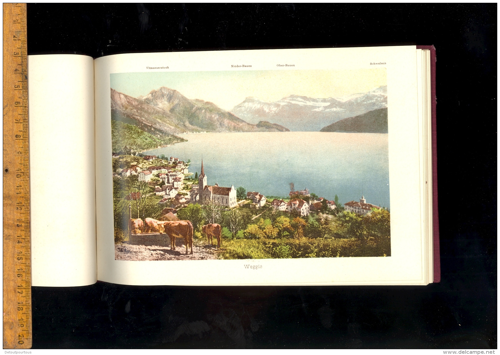 Album von Vierwaldstaettersee Souvenir du lac des quatre cantons Luzern Weggie Vitznau Rigi Beckenried Gersau Treib ...