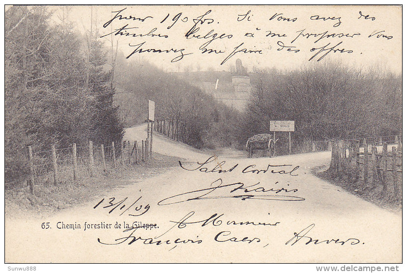 Chemin Forestier De La Gileppe (achat De Timbres Belges...1909) - Gileppe (Barrage)