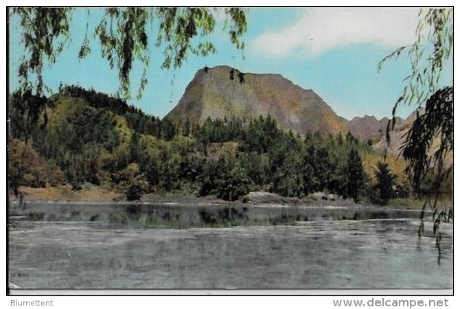 CPSM Ile De La Réunion écrite éditeur Photo Variétés Salazie - Sonstige & Ohne Zuordnung