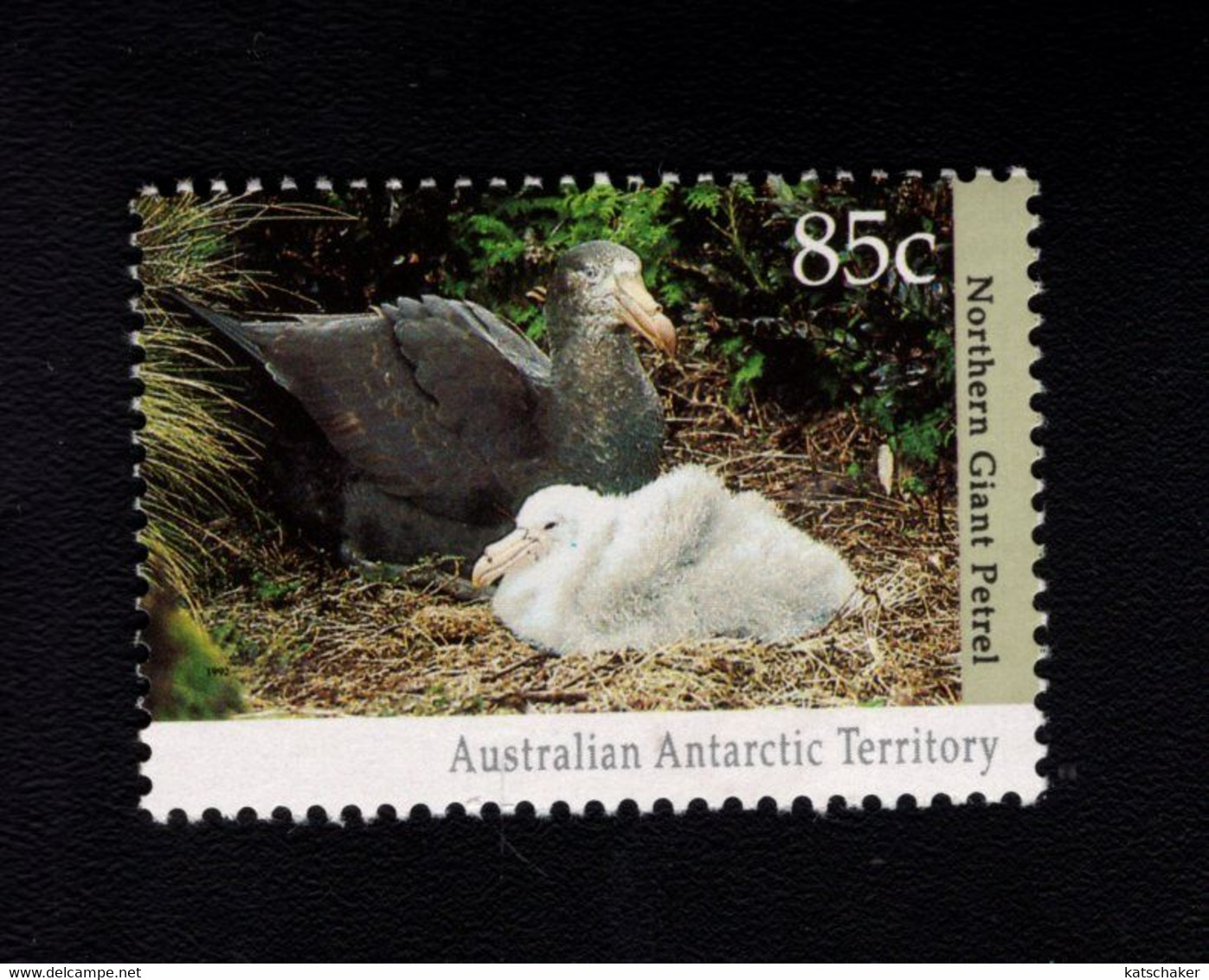 AUSTRALIAN ANTARCTIC TERRITORY 1986  POSTFRIS MINT YVERT 92 - Ungebraucht